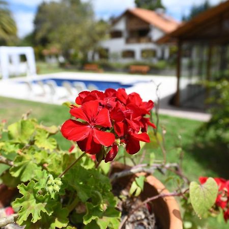 Quinta La Constanza Hotel Табабела Екстериор снимка